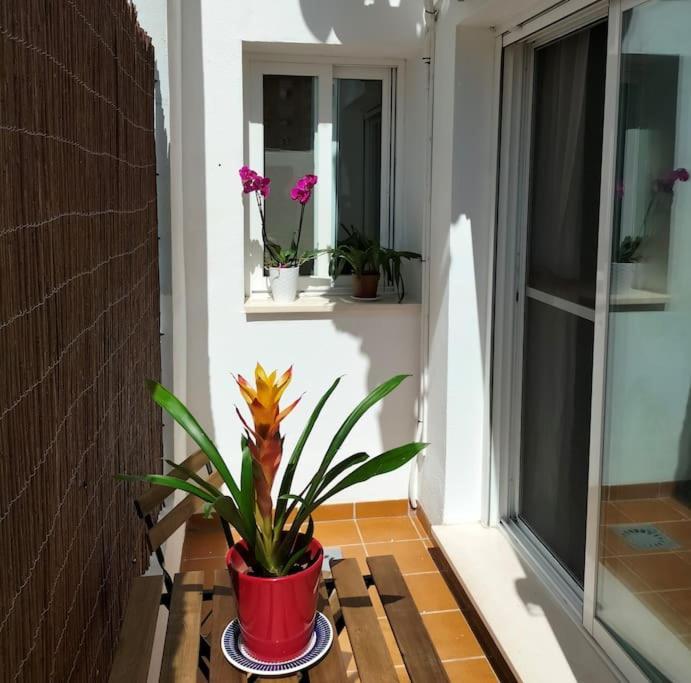 Apartament Estudio 52 Centrico Parking Gratuito Malaga